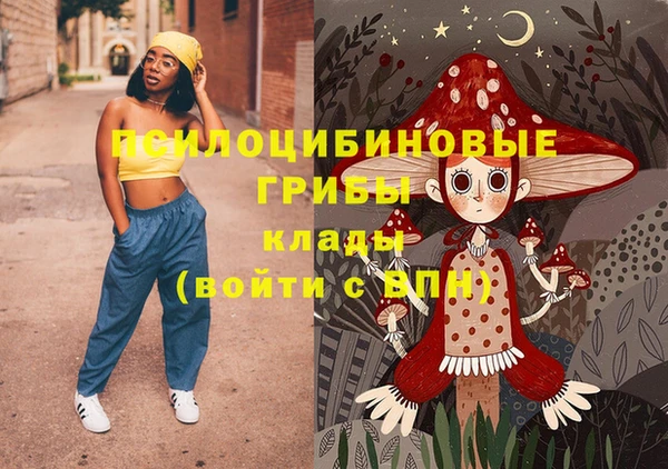 МДПВ Аркадак