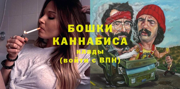 PSILOCYBIN Алзамай