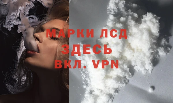 PSILOCYBIN Алзамай