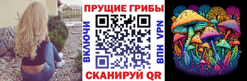 Псилоцибиновые грибы Psilocybine cubensis Бологое