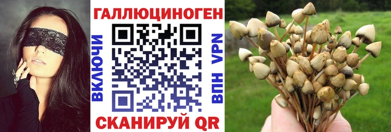 Галлюциногенные грибы Magic Shrooms  KRAKEN tor  Бологое 