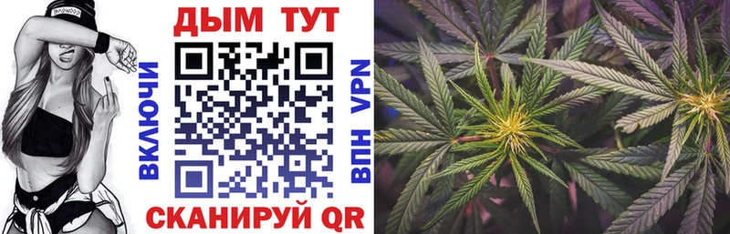 Бошки марихуана OG Kush  мега ONION  Бологое 